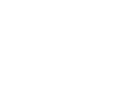 Навка Шоу
